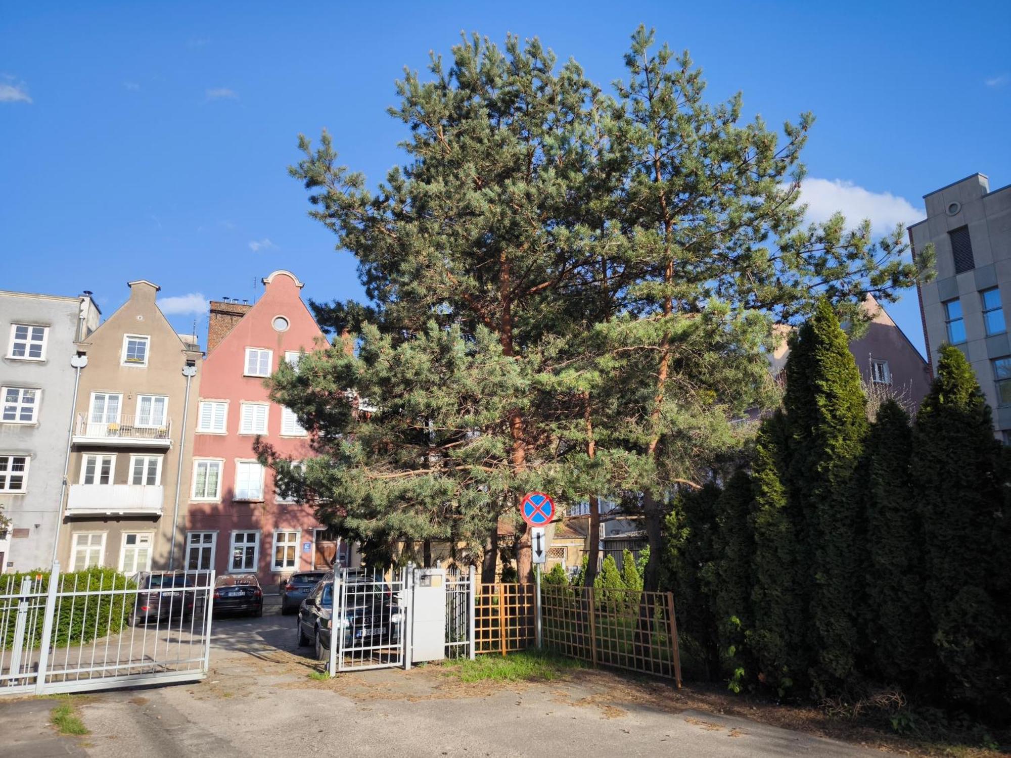 Central Apartments Fishmarkt & Parking Гданск Екстериор снимка